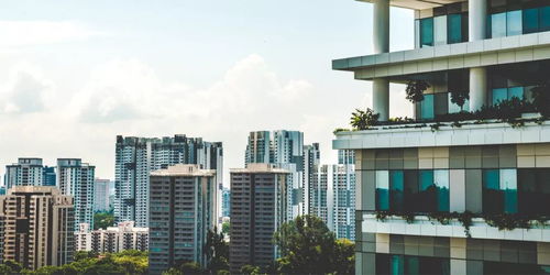 重慶APP開發(fā)公司推薦 派維特軟件詳解物業(yè)與地產(chǎn)APP解決方案